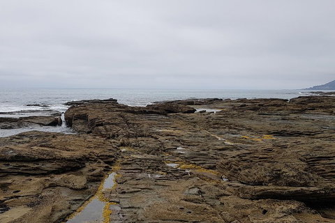 Luxury Private Great Ocean Road Tour Up To 11 People - Entire Vehicle - Hervey Bay Accommodation 1