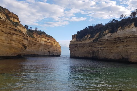 Luxury Private Great Ocean Road Tour Up To 11 People - Entire Vehicle - Hervey Bay Accommodation 2