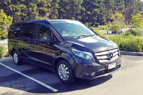 Luxury Private Great Ocean Road Tour Up To 11 People - Entire Vehicle - Hervey Bay Accommodation 3