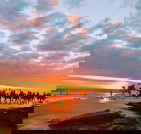 1 Hour Broome Sunset Camel Tour - Hervey Bay Accommodation