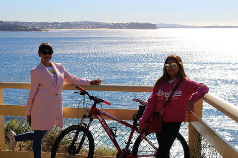 Half Day Manly Beach And More - Tourism Hervey Bay 4