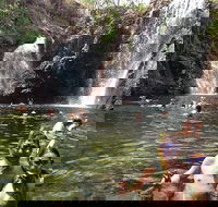 Litchfield National Park and Jumping Crocodile Cruise - Hervey Bay Accommodation