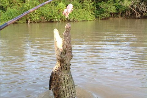 Litchfield National Park And Jumping Crocodile Cruise - Hervey Bay Accommodation 2