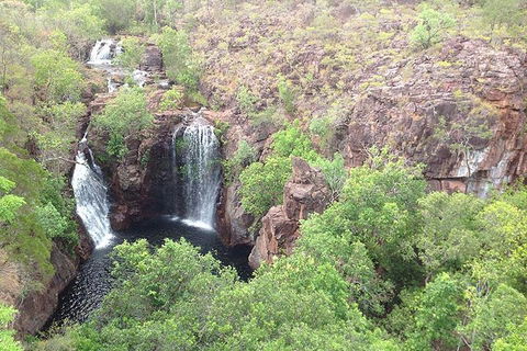 Litchfield National Park And Jumping Crocodile Cruise - Hervey Bay Accommodation 4