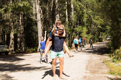 7-Day Best Of Tasmania Adventure Experience From Hobart (flexible Ticket) - Hervey Bay Accommodation 5