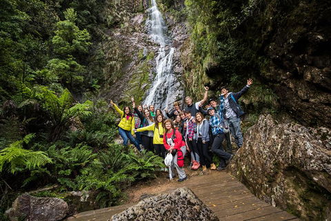 5-Day Lap Of Tasmania Tour From Hobart (flexible Ticket) - Hervey Bay Accommodation 0
