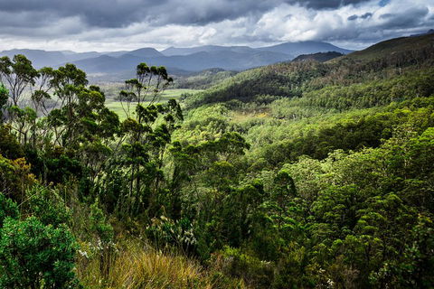 5-Day Lap Of Tasmania Tour From Hobart (flexible Ticket) - Hervey Bay Accommodation 2
