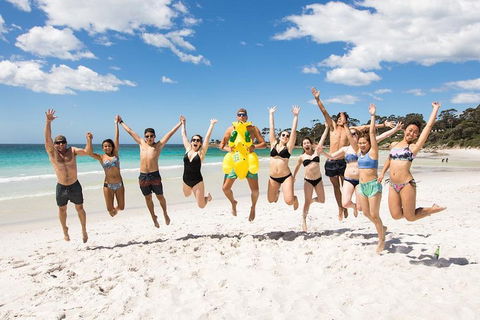 5-Day Lap Of Tasmania Tour From Hobart (flexible Ticket) - Hervey Bay Accommodation 4