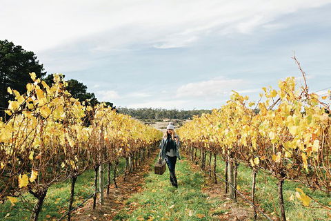 One-Way East Coaster - Hervey Bay Accommodation 1