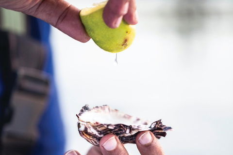 One-Way East Coaster - Hervey Bay Accommodation 3