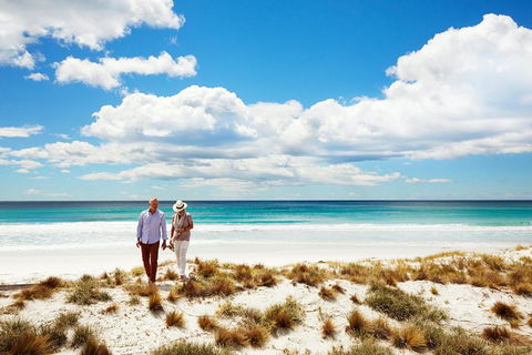 One-Way East Coaster - Hervey Bay Accommodation 4