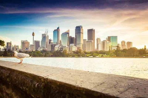 Private Sydney City And Bondi Beach Half Day Tour - Hervey Bay Accommodation 2