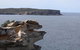 Private Sydney City And Bondi Beach Half Day Tour - thumb 3