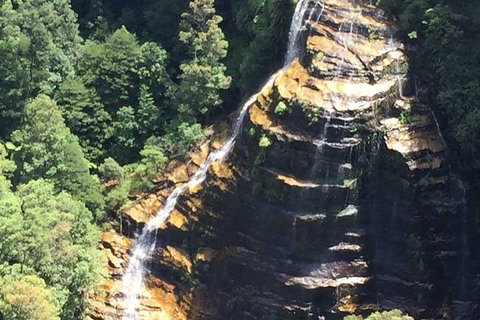 Private Blue Mountains Tour With Kangaroo And Koala Experience - Hervey Bay Accommodation 5