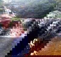 Private Blue Mountains Day Tour including Wildlife Park - Hervey Bay Accommodation