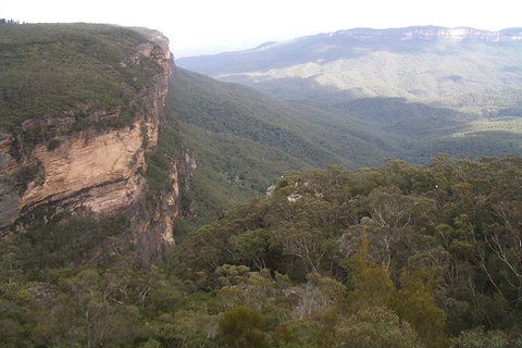 Full-Day Private Blue Mountains Tour With River Cruise - Hervey Bay Accommodation 3