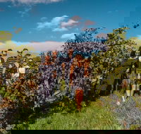 Barossa Valley Private Tour from 2 to 11 people - Tourism Hervey Bay