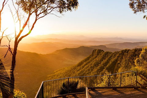 O'Reilly's & Lamington National Park Incl. Alpaca Farm + Vineyard - Hervey Bay Accommodation 0