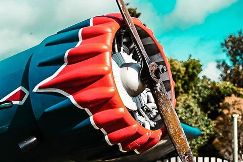 O'Reilly's & Lamington National Park Incl. Alpaca Farm + Vineyard - Hervey Bay Accommodation 1