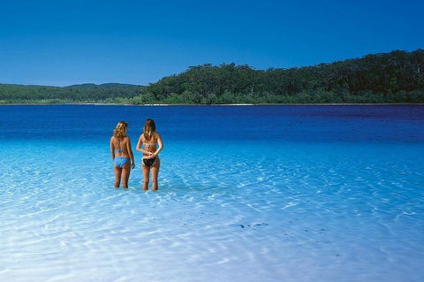 Fraser Island 4WD Tour From Noosa - Hervey Bay Accommodation 2