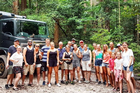Fraser Island 4WD Tour From Noosa - Hervey Bay Accommodation 3