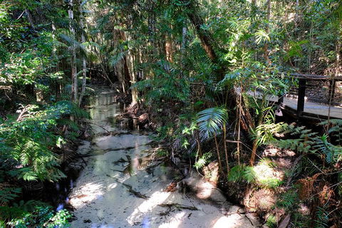 Fraser Island 4WD Tour From Rainbow Beach - Hervey Bay Accommodation 0