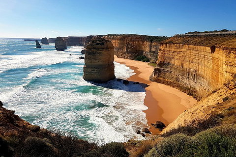 Helicopter Flight + Fine Dining Private Luxury Great Ocean Road Tour - Hervey Bay Accommodation 4