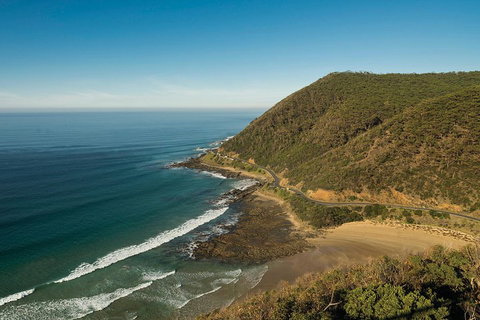 Great Ocean Road Adventure - Private Tour - Reverse - Hervey Bay Accommodation 2