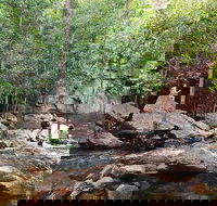 Ethical Adventures - Best in the WET - Litchfield / Kakadu 3 Day- max 10 guests - Hervey Bay Accommodation