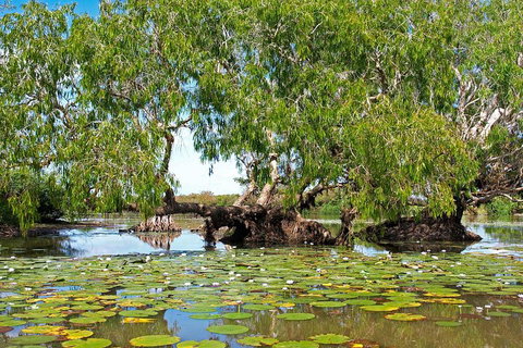 Ethical Adventures - Best In The WET - Litchfield / Kakadu 3 Day- Max 10 Guests - Tourism Hervey Bay 1