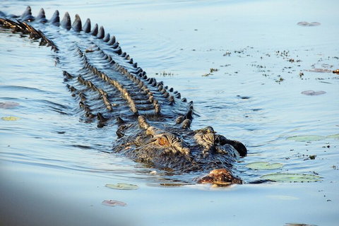 Ethical Adventures - Best In The WET - Litchfield / Kakadu 3 Day- Max 10 Guests - Tourism Hervey Bay 4