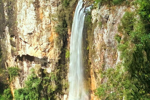 Natural Arch, Rainforest & Volcano Canyon - Private Half Day Tour - Hervey Bay Accommodation 2