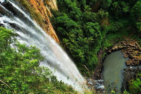 Natural Arch, Rainforest & Volcano Canyon - Private Half Day Tour - Hervey Bay Accommodation 5