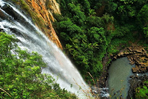 Private Tour - Rainforest & Waterfalls Extravaganza - Hervey Bay Accommodation 2