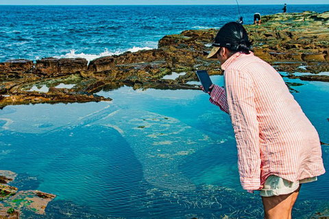 Sydney Private Tour Featuring Wilderness, Wildlife, Waves, Waterfalls And Wine - Hervey Bay Accommodation 1