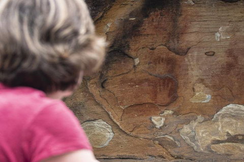 Sydney Private Tour Featuring Wilderness, Wildlife, Waves, Waterfalls And Wine - Hervey Bay Accommodation 2