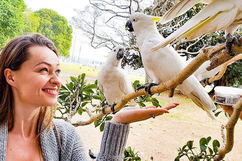 Sydney Private Tour Featuring Wilderness, Wildlife, Waves, Waterfalls And Wine - Hervey Bay Accommodation 4