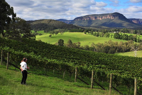 Private Blue Mountains And Winery Day-Trip From Sydney - Hervey Bay Accommodation 2