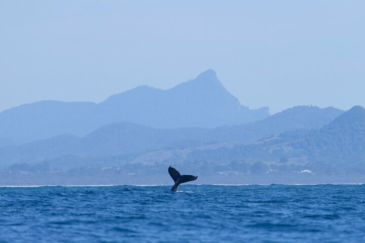  Tourism Hervey Bay
