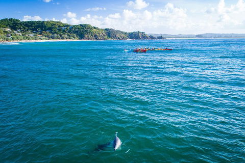 The Byron Bay Sea Kayak Tour - Hervey Bay Accommodation 2