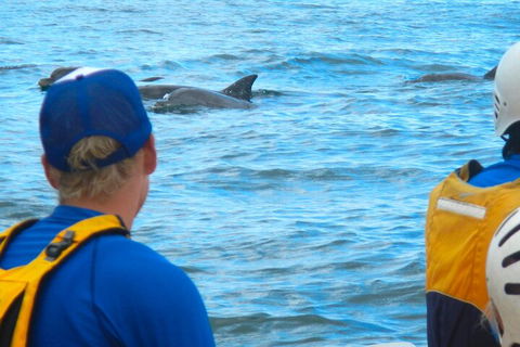 The Byron Bay Sea Kayak Tour - Hervey Bay Accommodation 4