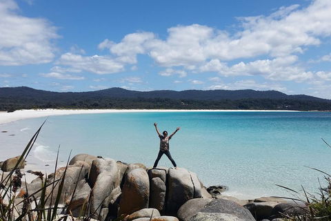 Tasmania 4 Day East Coast + Launceston - Hervey Bay Accommodation 1