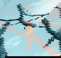 Highlights Of Kings Park - Hervey Bay Accommodation