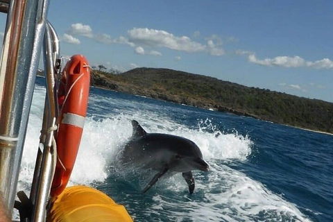 Noosa Oceanrider - Adventure Tour - Tourism Hervey Bay 1