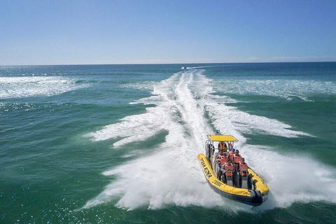 Noosa Oceanrider - Adventure Tour - Tourism Hervey Bay 2