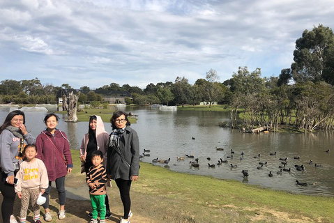 Phillip Island Penguins Private Tour - Hervey Bay Accommodation 1
