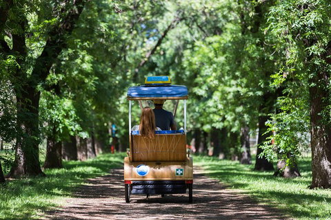 Adelaide 90-Minute Pedicab Tour: Scenic Green & River Experience - Hervey Bay Accommodation 2