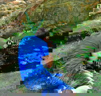 Highlights of Perth Photographic Tour - Hervey Bay Accommodation