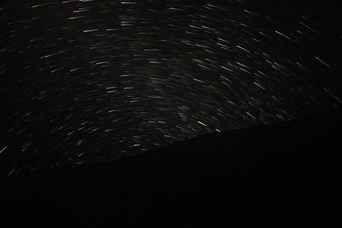 Wave Rock, Wild Flowers And Astro Photography - Hervey Bay Accommodation 1