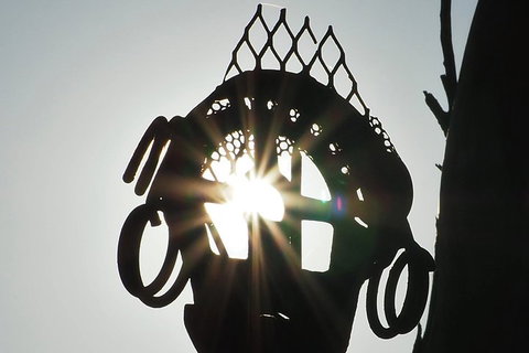 Wave Rock, Wild Flowers And Astro Photography - Hervey Bay Accommodation 4